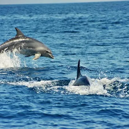 Casa Dos Reis - Albufeira, Center Albufeira